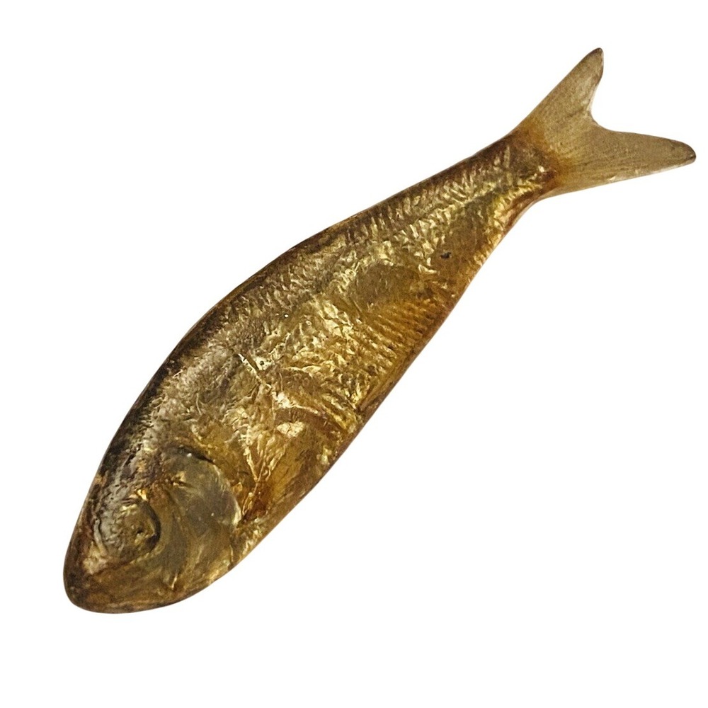 VTG 1981‎ Ken Loeber Brooch Pin Signed Minnow Fish Acrylic Ichthyology Art MOD